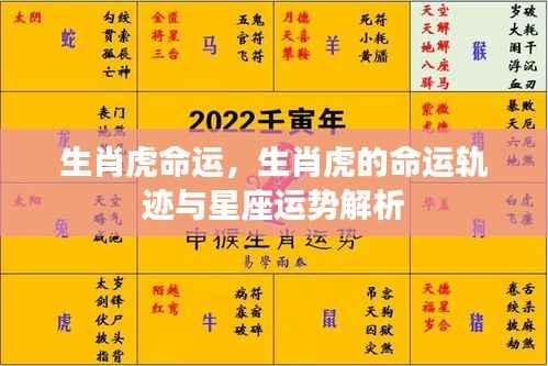 生肖虎命运解析,命运轨迹与星座运势深度解读