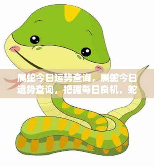 属蛇今日运势详解,把握每日良机,蛇友运势查询与解析