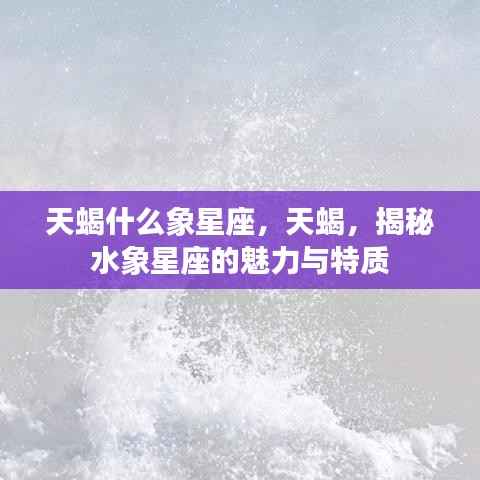 揭秘天蝎座,水象星座的魅力与独特特质