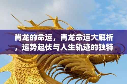 肖龙命运深度解析,运势起伏与人生轨迹的交织