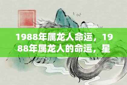 星辰指引下的辉煌人生,揭秘1988年属龙人的命运之路