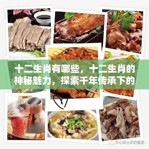 探索千年传承,十二生肖的神秘魅力与文化印记