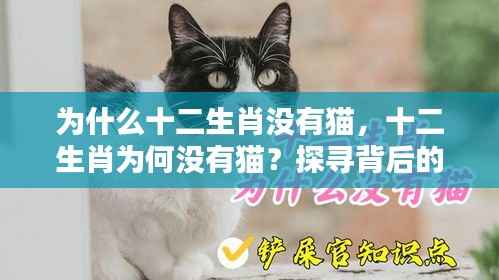 揭秘十二生肖背后的文化之谜,为何没有猫的身影?