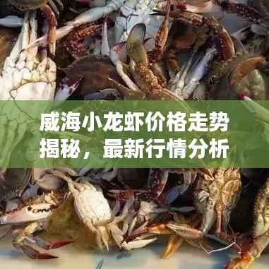 威海小龙虾价格走势揭秘,最新行情分析!