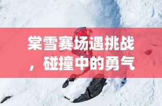棠雪赛场遇挑战,碰撞中的勇气与毅力较量