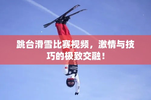 跳台滑雪比赛视频,激情与技巧的极致交融!
