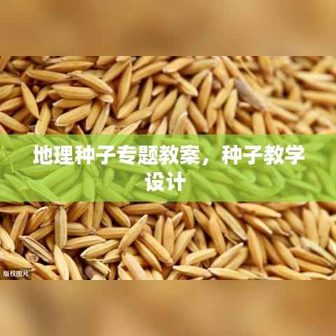 地理种子专题教案,种子教学设计