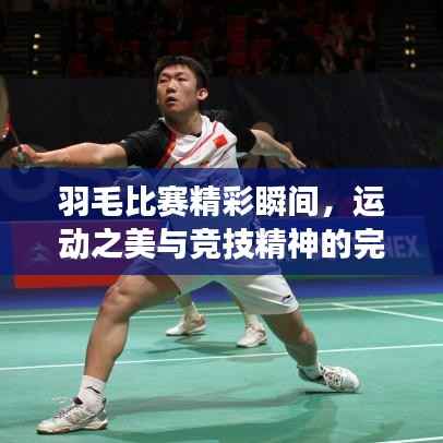 羽毛比赛精彩瞬间,运动之美与竞技精神的完美融合图片展