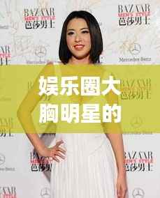 娱乐圈大胸明星的魅力风采展示