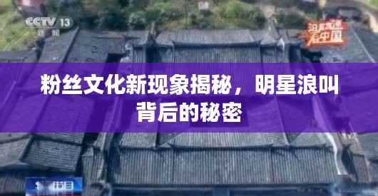 粉丝文化新现象揭秘,明星浪叫背后的秘密