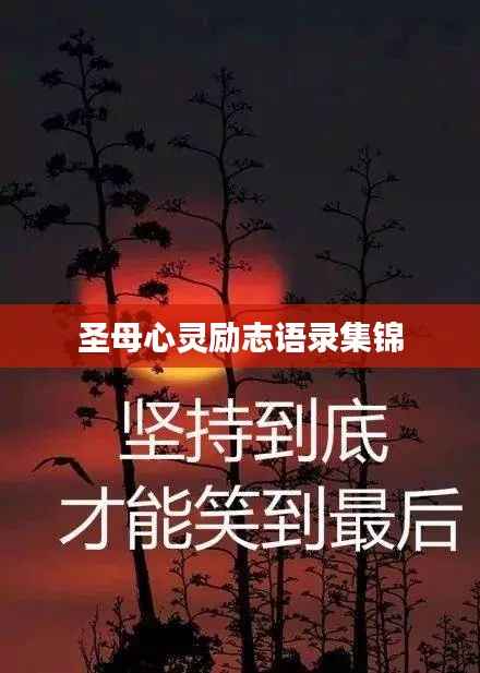 圣母心灵励志语录集锦