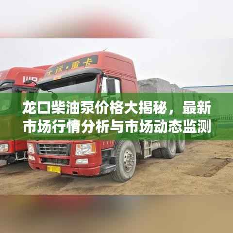 龙口柴油泵价格大揭秘,最新市场行情分析与市场动态监测报告!