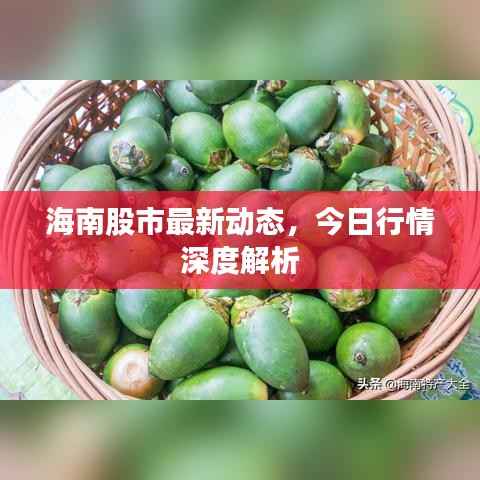 海南股市最新动态,今日行情深度解析