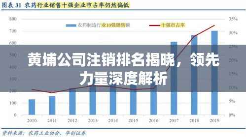 黄埔公司注销排名揭晓,领先力量深度解析