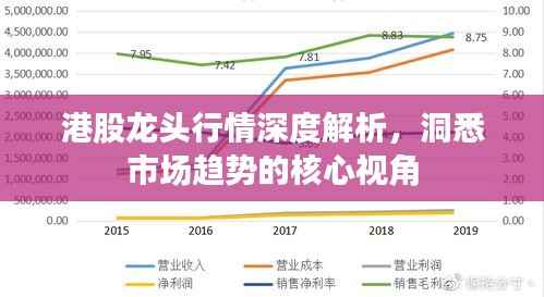 港股龙头行情深度解析,洞悉市场趋势的核心视角