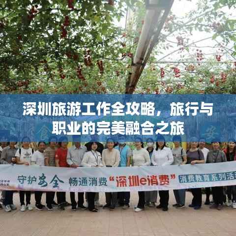 深圳旅游工作全攻略,旅行与职业的完美融合之旅