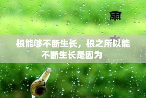 学贵有疑 第3页