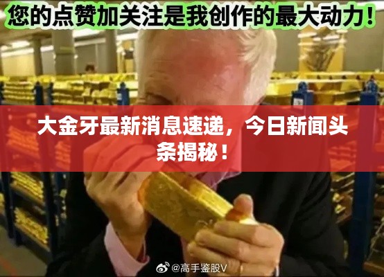 大金牙最新消息速递,今日新闻头条揭秘!