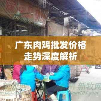 广东肉鸡批发价格走势深度解析