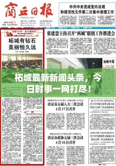柘城最新新闻头条,今日时事一网打尽!