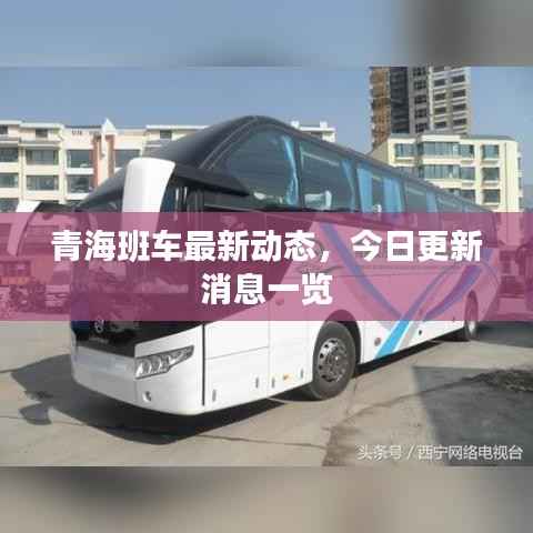 青海班车最新动态,今日更新消息一览