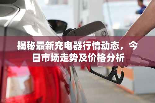 将错就错 第3页