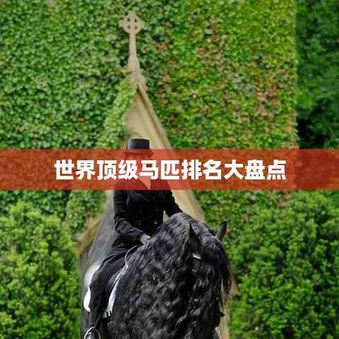 世界顶级马匹排名大盘点