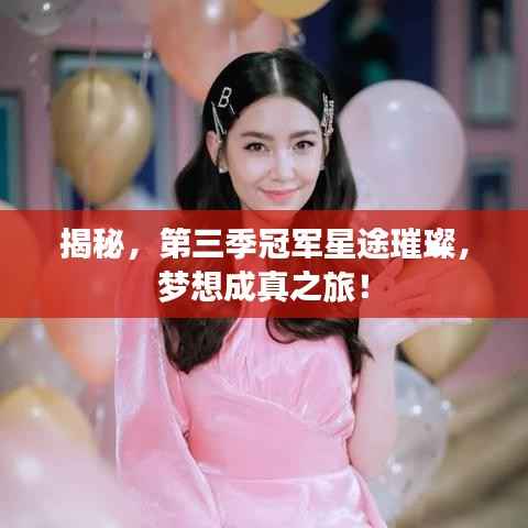 揭秘,第三季冠军星途璀璨,梦想成真之旅!