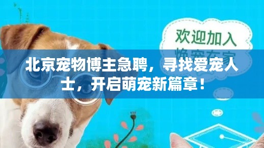 北京宠物博主急聘,寻找爱宠人士,开启萌宠新篇章!