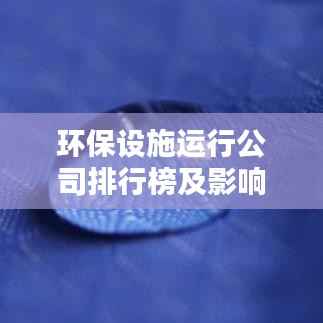 环保设施运行公司排行榜及影响力深度解析