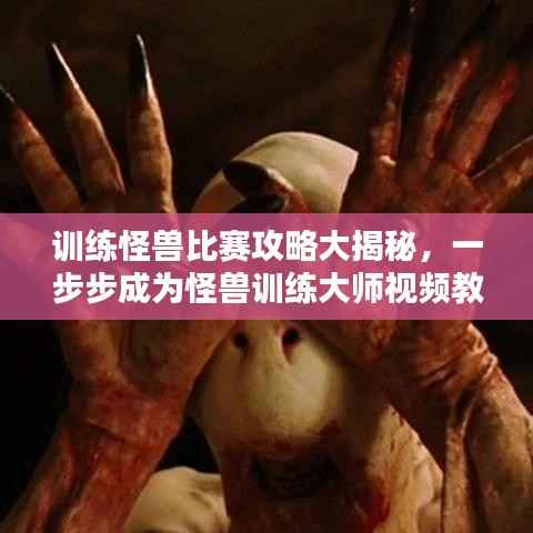 训练怪兽比赛攻略大揭秘,一步步成为怪兽训练大师视频教程