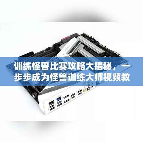 训练怪兽比赛攻略大揭秘,一步步成为怪兽训练大师视频教程