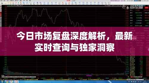 今日市场复盘深度解析,最新实时查询与独家洞察