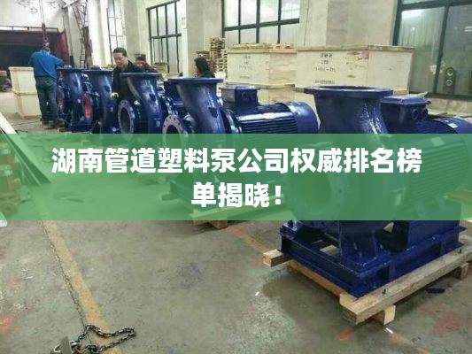 湖南管道塑料泵公司权威排名榜单揭晓!
