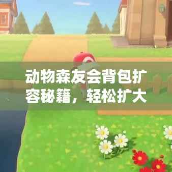 动物森友会背包扩容秘籍,轻松扩大背包容量!
