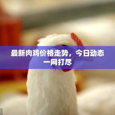 如花似玉 第3页