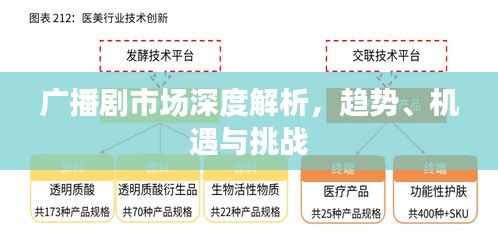 广播剧市场深度解析,趋势、机遇与挑战