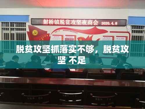 脱贫攻坚抓落实不够,脱贫攻坚 不足