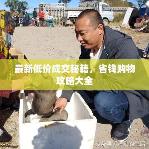 最新低价成交秘籍,省钱购物攻略大全