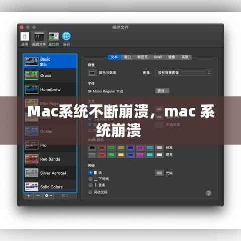 Mac系统不断崩溃,mac 系统崩溃