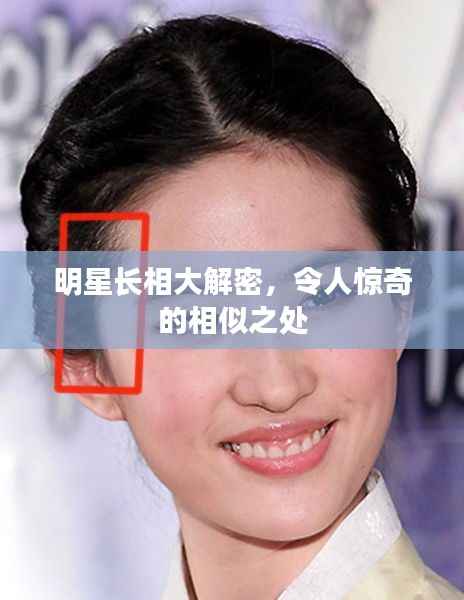 明星长相大解密，令人惊奇的相似之处