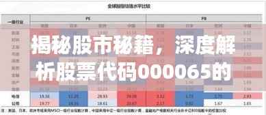 揭秘股市秘籍,深度解析股票代码000065的投资前景与风险分析