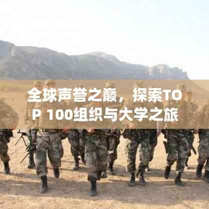 全球声誉之巅,探索TOP 100组织与大学之旅