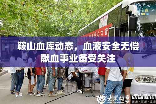 鞍山血库动态,血液安全无偿献血事业备受关注
