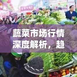 蔬菜市场行情深度解析,趋势、机遇与挑战