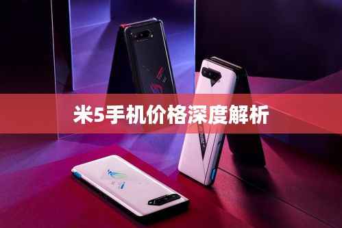 荆钗布裙 第2页