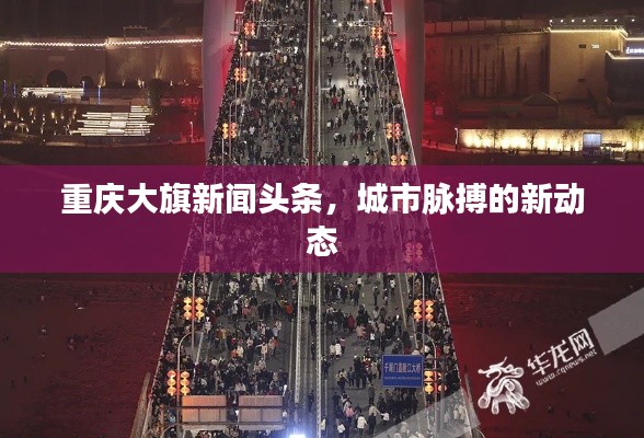 重庆大旗新闻头条,城市脉搏的新动态