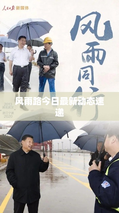 风雨路今日最新动态速递